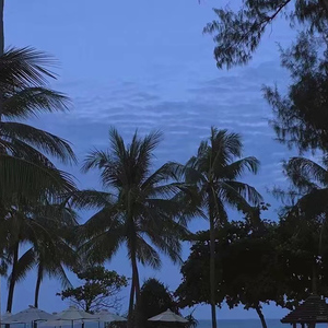 中文⭕⭕⭕⭕BBBB用手
