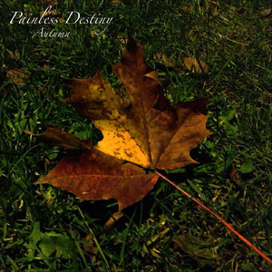 中文⭕⭕⭕⭕BBBB用手
